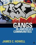 Gangs In America's Communities di James C. Howell edito da Sage Publications Inc