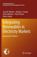 Integrating Renewables in Electricity Markets di Antonio J. Conejo, Henrik Madsen, Juan M. Morales, Pierre Pinson, Marco Zugno edito da Springer US