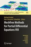 Meshfree Methods for Partial Differential Equations VIII edito da Springer International Publishing