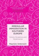 Irregular Immigration in Southern Europe di Maurizio Ambrosini edito da Springer International Publishing