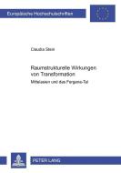 Raumstrukturelle Wirkungen von Transformation di Claudia Stein edito da Lang, Peter GmbH