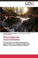 Diversidad de macromicetes di América Mondragón Sánchez, Coral Jazvel Pacheco F, Silvia Cappello G edito da EAE