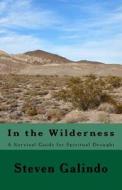 In the Wilderness: A Survival Guide for Spiritual Drought di Steven Galindo edito da Createspace