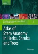 Atlas of Stem Anatomy in Herbs, Shrubs and Trees di Annett Börner, Ernst-Detlef Schulze, Fritz Hans Schweingruber edito da Springer Berlin Heidelberg