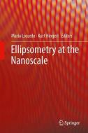 Ellipsometry at the Nanoscale edito da Springer-Verlag GmbH