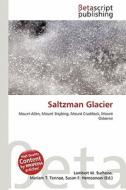 Saltzman Glacier edito da Betascript Publishing
