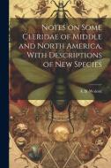 Notes on Some Cleridae of Middle and North America, With Descriptions of New Species di A. B. Wolcott edito da LEGARE STREET PR