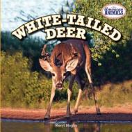 White-Tailed Deer di Meryl Magby edito da PowerKids Press