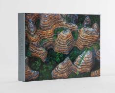 Art Wolfe: Extraordinary Earth Blank Boxed Notecards di Wolfe edito da Insight Editions