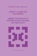 Lightlike Submanifolds of Semi-Riemannian Manifolds and Applications di Aurel Bejancu, Krishan L. Duggal edito da Springer Netherlands