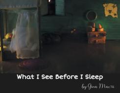 What I See Before I Sleep di Gina Macri edito da FRIESENPR