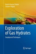 Exploration of Gas Hydrates di Sanjeev Rajput, Naresh Kumar Thakur edito da Springer Berlin Heidelberg