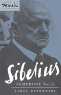 Sibelius di James Hepokoski edito da Cambridge University Press