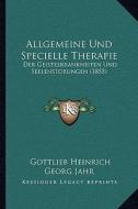 Allgemeine Und Specielle Therapie: Der Geisteskrankheiten Und Seelenstorungen (1855) edito da Kessinger Publishing