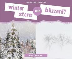 Winter Storm or Blizzard? di Kelly Doudna edito da SUPER SANDCASTLE