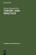 Theory and Practice edito da De Gruyter Mouton