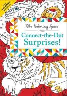 Connect-The-Dot Surprises! edito da LITTLE BROWN & CO