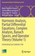 Harmonic Analysis, Partial Differential Equations, Complex Analysis, Banach Spaces, and Operator Theory (Volume 1) edito da Springer International Publishing