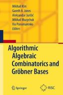 Algorithmic Algebraic Combinatorics and Gröbner Bases edito da Springer-Verlag GmbH