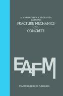 Fracture mechanics of concrete: Material characterization and testing edito da Springer Netherlands