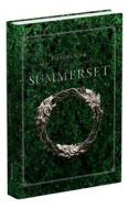 The Elder Scrolls Online: Summerset di Garitt Rocha, David Hodgson, Prima Games edito da DK Publishing