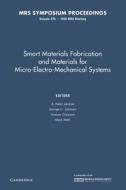 Smart Materials Fabrication And Materials For Micro-electro-mechanical Systems: Volume 276 edito da Cambridge University Press