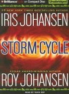 Storm Cycle di Roy Johansen edito da Brilliance Corporation