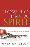 How to Try a Spirit: Identify Evil Spirits and the Fruit They Manifest di Mary Garrison edito da WHITAKER HOUSE