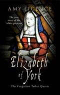 Elizabeth Of York di Amy Licence edito da Amberley Publishing