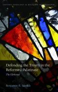 Defending the Trinity in the Reformed Palatinate di Benjamin R. Merkle edito da OUP Oxford