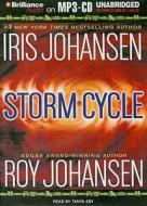 Storm Cycle di Iris Johansen, Roy Johansen edito da Brilliance Corporation