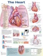 The Heart di Anatomical Chart Company edito da Lippincott Williams And Wilkins