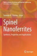 Spinel Nanoferrites edito da Springer International Publishing