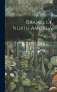 Grasses of North America di W J Beal edito da LEGARE STREET PR