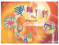 The Protein Chart di Richard Charles Garratt, Christine A. Orengo edito da Wiley-vch Verlag Gmbh
