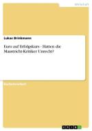 Euro auf Erfolgskurs - Hatten die Maastricht-Kritiker Unrecht? di Lukas Brinkmann edito da GRIN Publishing