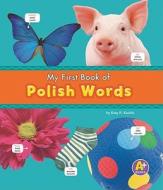 My First Book of Polish Words di Katy R. Kudela edito da CAPSTONE PR