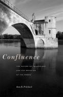 Confluence - The Nature of Technology and the Remaking of the Rhône di Sara B. Pritchard edito da Harvard University Press