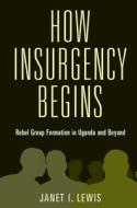 How Insurgency Begins di Lewis Janet I. Lewis edito da Cambridge University Press