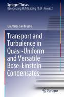 Transport and Turbulence in Quasi-Uniform and Versatile Bose-Einstein Condensates di Gauthier Guillaume edito da Springer International Publishing