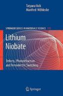 Lithium Niobate di Tatyana Volk, Manfred Wöhlecke edito da Springer Berlin Heidelberg