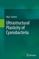 Ultrastructural Plasticity of Cyanobacteria di Olga I. Baulina edito da Springer Berlin Heidelberg