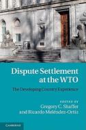 Dispute Settlement at the WTO di Gregory C. Shaffer edito da Cambridge University Press
