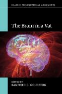 The Brain in a Vat edito da Cambridge University Press