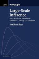 Large-Scale Inference di Bradley Efron edito da Cambridge University Press