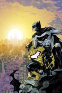 Batman and the Signal di Tony Patrick, Scott Snyder edito da DC Comics