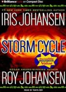 Storm Cycle di Iris Johansen, Roy Johansen edito da Brilliance Corporation