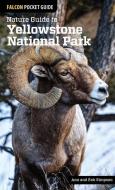 Nature Guide to Yellowstone National Park di Ann Simpson, Rob Simpson edito da Rowman & Littlefield