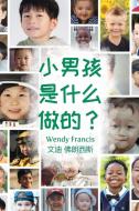 What are little boys made of? (Chinese Language Edition) di Wendy Francis edito da Connor Court Publishing Pty Ltd