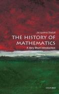 The History of Mathematics: A Very Short Introduction di Jacqueline A. Stedall edito da Oxford University Press